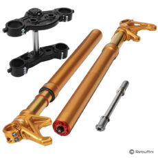 STREET GLIDE 24 (GOLD) - D inverted frontend harley touring performance